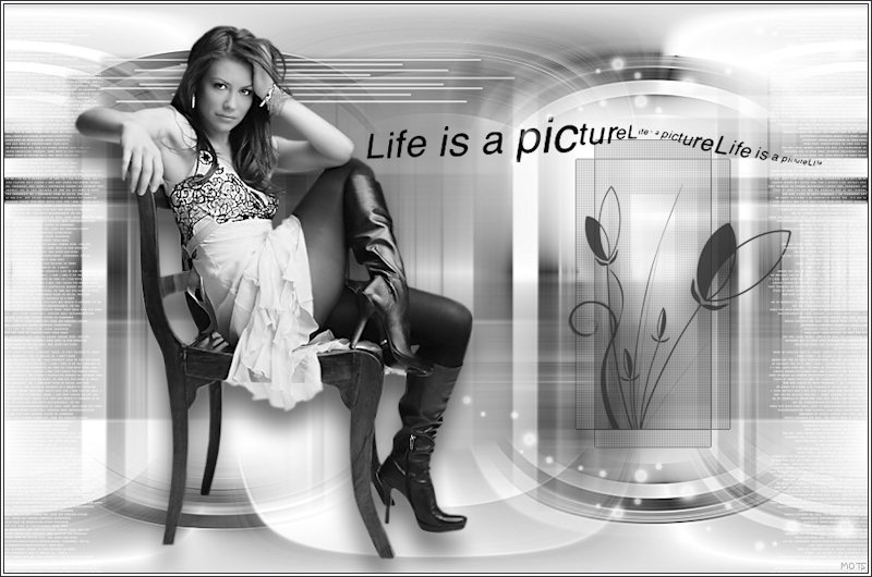 bw023bild.jpg