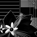 vsbw005.jpg