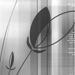 vsbw023.jpg