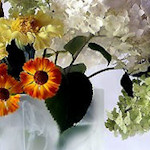 vsflowers017.jpg
