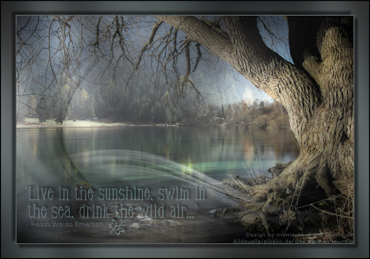 landscape012bild.jpg