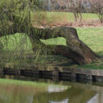 vslands001.jpg