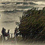 vslands008.jpg